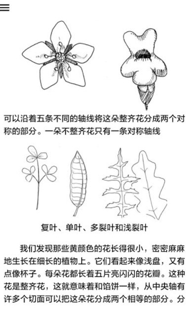 植物识别截图2