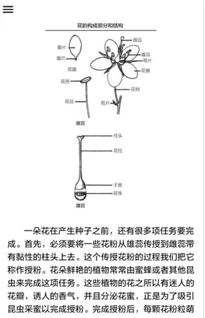 植物识别截图1