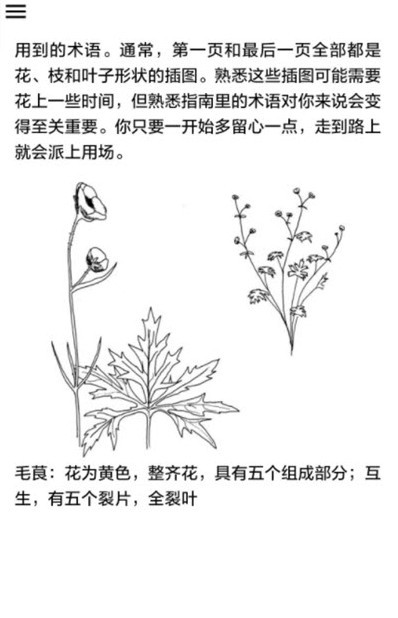 植物识别截图4