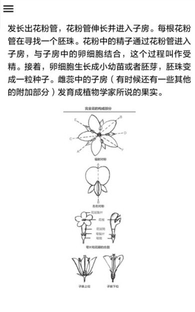 植物识别截图3